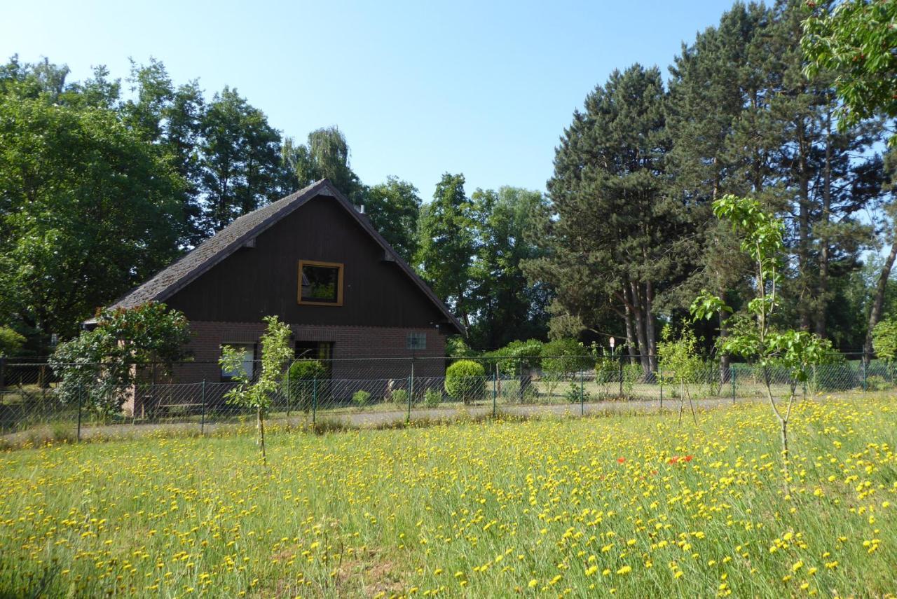 Villa Ferienhaus An Der Borner Muehle Bruggen  Exterior foto